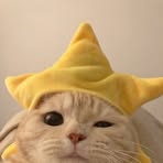 Francine Chan - Facebook