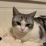 Francine Chan - @francinechan920 - Instagram