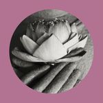 Francine Claire - @francineclairetherapie - Instagram