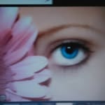 Francine Davidson - @francinedavidson38 - Instagram
