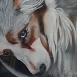 Francine Guyot - @guyot.francine - Instagram