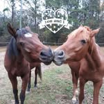 Francine Jackson - @francinejacksonstudios - Instagram