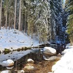 Francine Jacques - @francine.jacques.73 - Instagram
