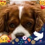 Francine Jacques Brocheray - @francinebrocheray - Instagram