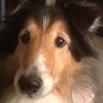Francine Kramer - @francine.kramer.7 - Instagram