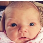 Francine Clare Phillips - @francineclarephillips - Instagram