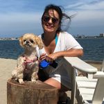 Francine Phillips - @frannievp - Instagram