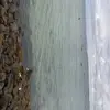 Francine Phillips - @francinephillips620 - TikTok
