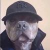 Francis Armstrong - @francisarmstrong846 - TikTok