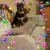 Frances Barnes - Facebook