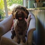 Marj Francis-Barnes - @its_all_about_marj - Instagram