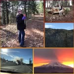 Francis Barton - @francisbarton - Instagram