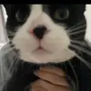 Francis Bates07 - @francis.bates07 - TikTok
