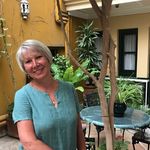 Sue Francis-Bates - @suefrancisbates - Instagram