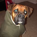 Francis Strange - @francis_baxterr - Instagram