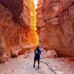 Francis Beard - @francisbeard11 - Instagram