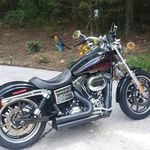 Francis Bingham - @francisbingham9 - Instagram