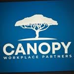 Francis Bingham - @canopyworkplacepartners - Instagram
