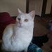 Frances Bissonnette - Facebook