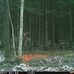 Francis Bissonnette - Facebook