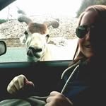 Francis Böttcher - @francisbottcher - Instagram