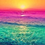 Francis Buchanan - @franniebuchanan2005 - Instagram