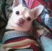 Francis Burroughs - Facebook