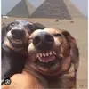 Francisca Ll - @francisca.ll1 - TikTok