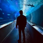 Francis Charette - @francis_charette - Instagram