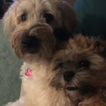 Frances Cleary-Kolodick - @franniek74 - Instagram