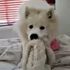 Franciscafresa - @franciscloud24 - TikTok