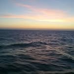 Francisco Elbling Sousa - @francisco.mbe.sousa - Instagram