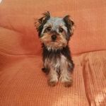 Francis Connelly - @francisconnelly1 - Instagram