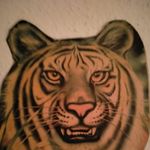 francis corbett - @corbett.francis - Instagram