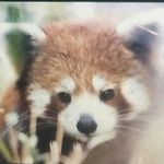 franciscormier - @franciscormier - Instagram