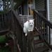 Frances Covington - Facebook