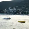 Francis.Dean - @francis.dean5 - TikTok