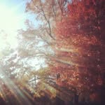 Francis Dellinger - @fgd62656 - Instagram