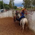Francisco Oliveira - @francis_do_gado - Instagram