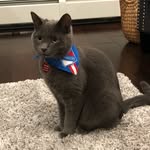 Ferris Francis - @ferris_francis - Instagram