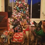 Francis & Florence & Ferris - @francis_florence_ferris - Instagram
