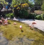 Frances Flaherty - Facebook