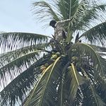 Francis Freeman Cudjoe - @francisfreemancudjoe - Instagram