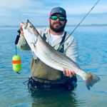 Francis Garner - @fdgarner - Instagram
