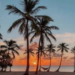 francis grenier - @francis026_ - Instagram