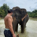 @harel_francis - Instagram