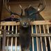 Francis Heath - Facebook