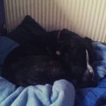 __.francis.hendrickse.__ - @__.francis.hendricks.__ - Instagram