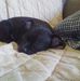 Francis Holder - Facebook