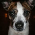 Jimmy Francis Mackey - @jimmy_mackey - Instagram